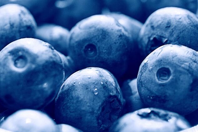 Blueberries on the Ketogenic Diet