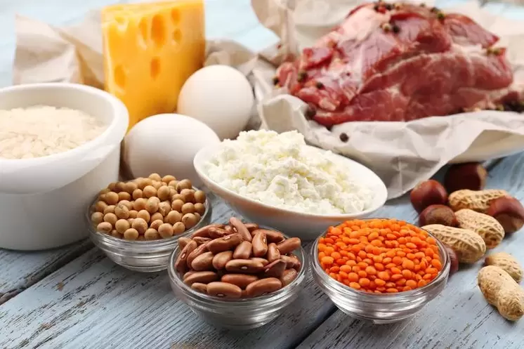 Protein diet products